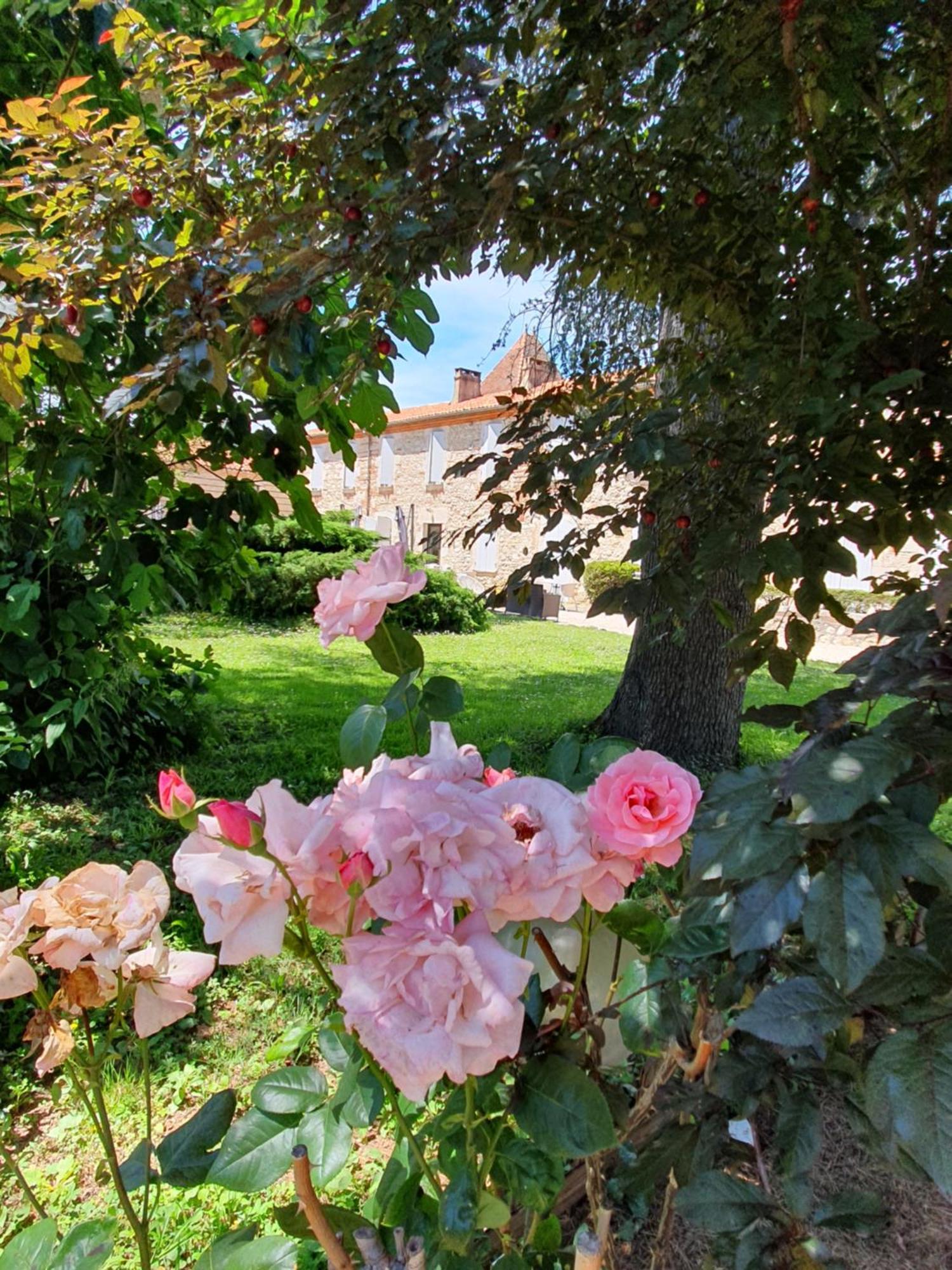 Logis Hotel Le Prince Noir Sérignac-sur-Garonne Kültér fotó